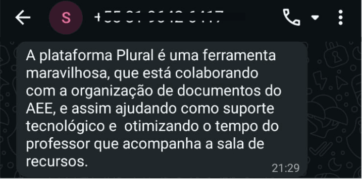Depoimento de professora sobre organização de documentos do AEE